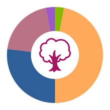 A donut chart with a tree in the centre, showing the age demographics. 